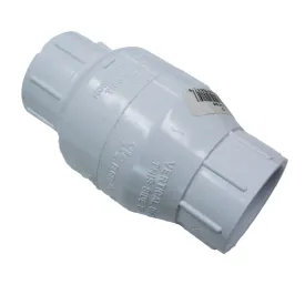 1" Plastic Check Valve (slip x slip)