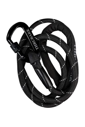 CARABINER DOG LEAD